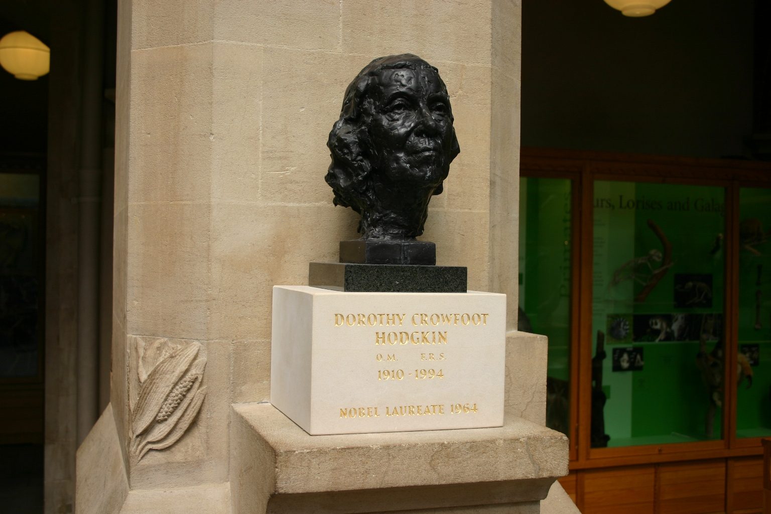 Dorothy Crowfoot Hodgkin's bust, Oxford University Museum of Natural History, Oxford.JPG